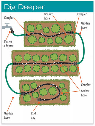  || https://assets.gardeners.com/transform/44ab532d-ae6a-4aed-aab4-bf747d29f538/hiw_40-205-jpg