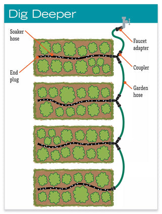  || https://assets.gardeners.com/transform/1477149d-bd6f-4d87-9bd6-065ef198b95e/hiw_8587042-jpg