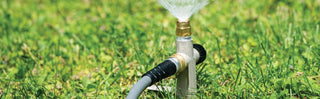 Lawn Care 101 - Williston, VT