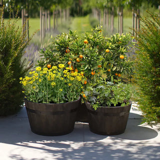 VegTrug Barrel Planter, 2 Pack