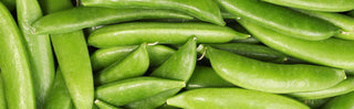 Vegetable Gardening Tips &amp; Tricks