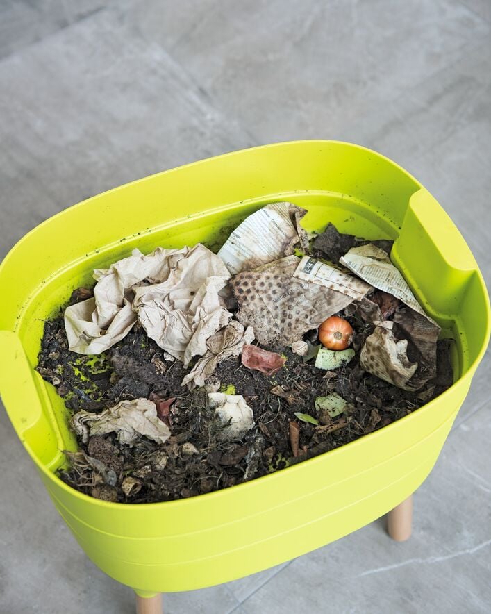 Worm Composting - Vermicomposting