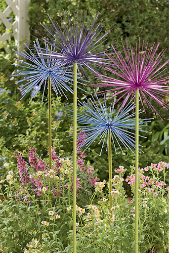 Allium 1.jpg