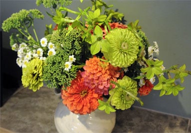 Zinnias.jpg