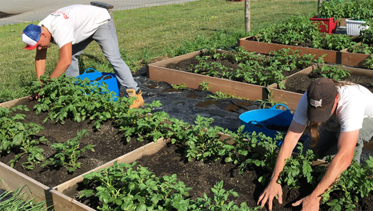 Two employees working on a raised bed for Company Farm
