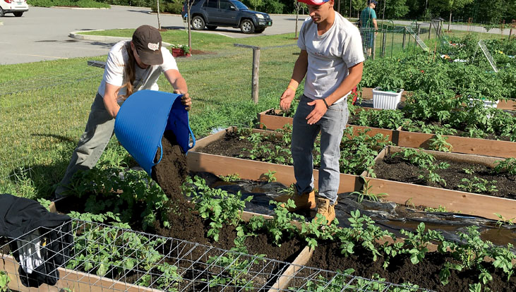 Company Farm