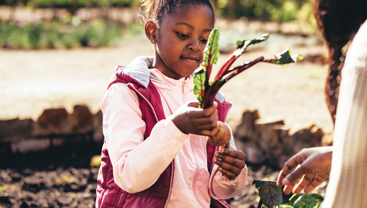 Harvest Hope