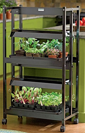 Compact 2-Tier SunLite Garden