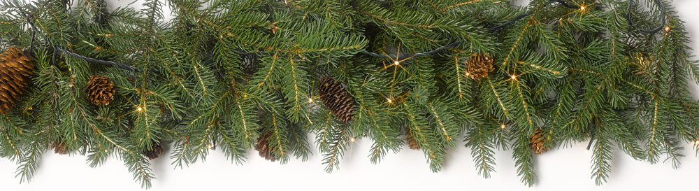 Preserving Pine Branches for Crafts and Decor