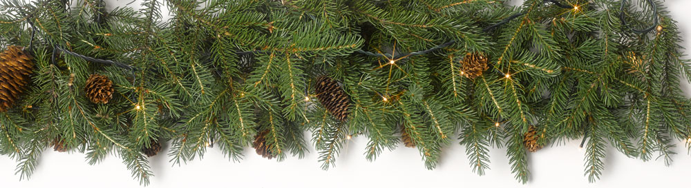 How to Preserve a Live Evergreen Branch With Needles