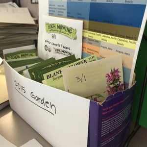 Seed packets sorted by planting date