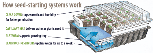 How seed-starting systems work