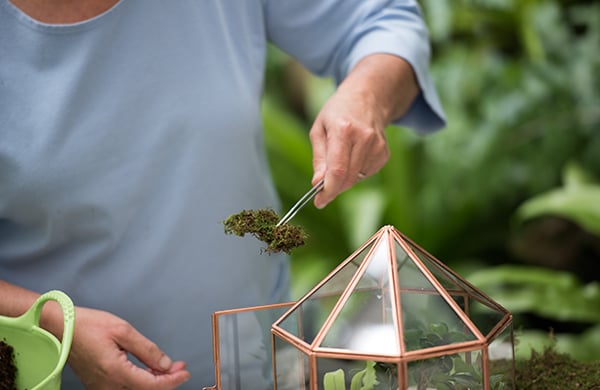 Using tongs to position plants and moss in the terrarium