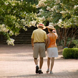 Take a walk