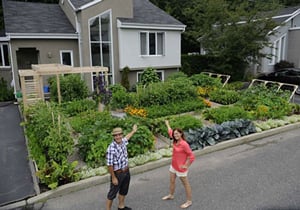 Turn Front Lawn into Vegetable Garden 