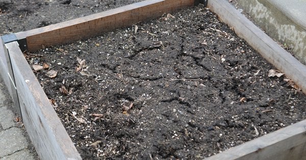 Should You Sterilize Your Soil?