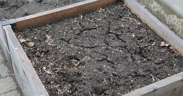 Old soil in raised bed