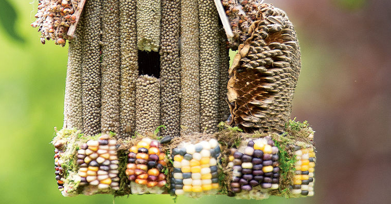 Birdhouse made of seeds