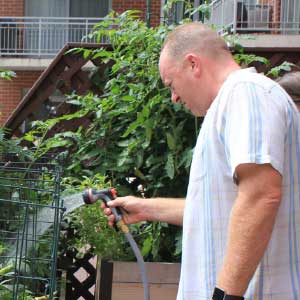 Jerry waters his garden in Chicago