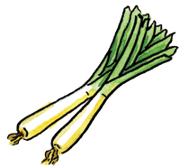 Scallion