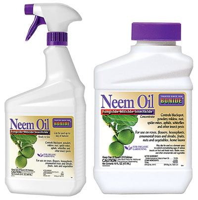 Neem oil