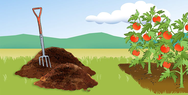 Compost illustration