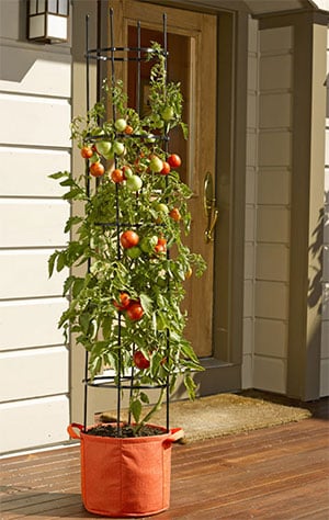 Gardener's Best Tomato Grow Bag