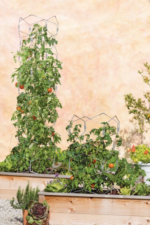 Vertex Tomato Cages