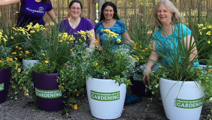 Employees posing with planters for random acts of gardening