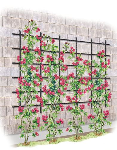 Details about   Wall Plant Support Trellis Mesh Flexigro For Climbing  Climbers Clematis Panel 