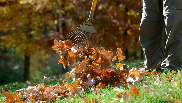 Shred Your Leaves for Great Soil | Gardener's Supply