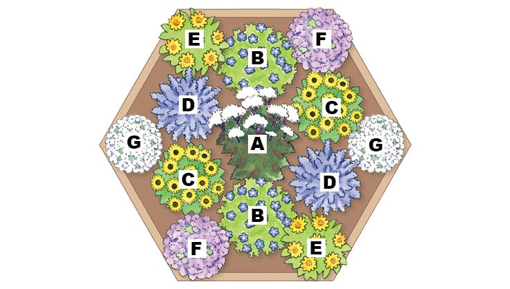 bee garden diagram