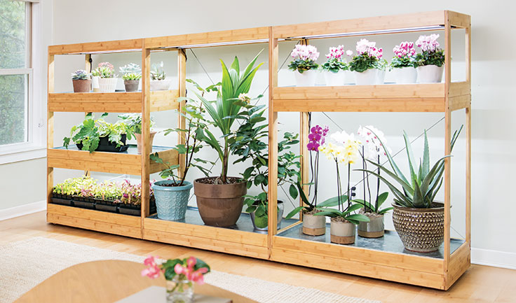 hvid Takke Selvrespekt Growing Vegetables Indoors 🥗 Under LED Grow Lights