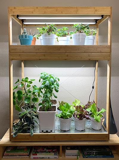 hvid Takke Selvrespekt Growing Vegetables Indoors 🥗 Under LED Grow Lights