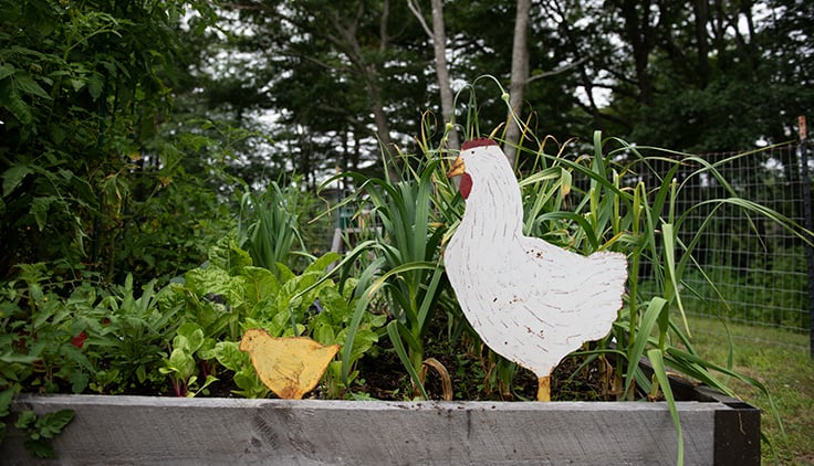 Patio planters