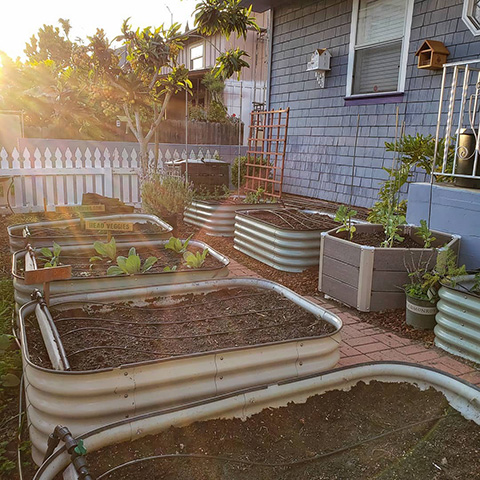 Raised beds