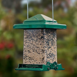 Choosing a Bird Feeder