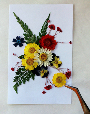Making a card with dried flowers