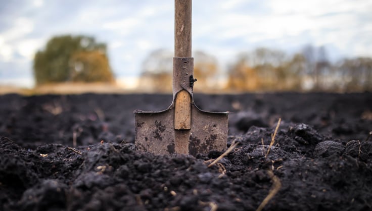 Shovel stuck in the dirt