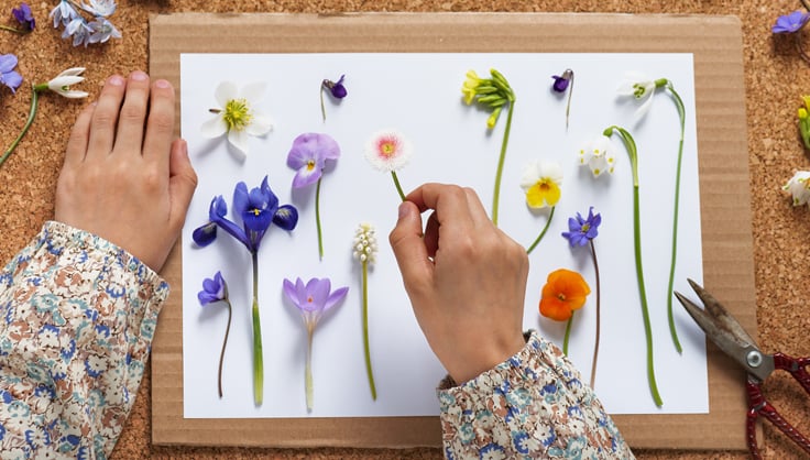 How to press flowers - Gathered