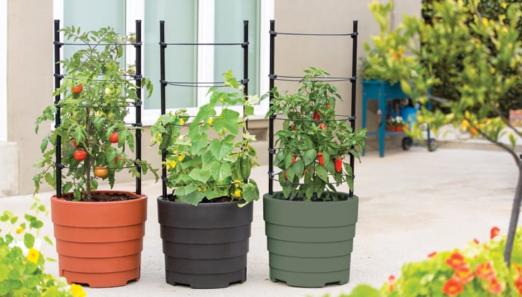 Gardening for a Beginner; All About Containers and Grow Bags — Garden  Valley Farmers Market
