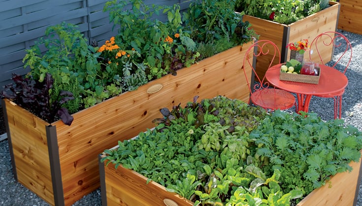 Elevated raised beds