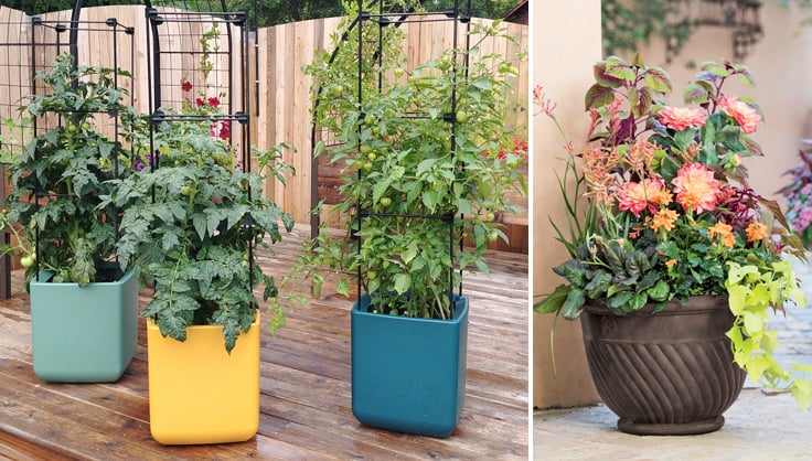 The Best Choice for Container Gardening: An Intro to Grow Bags – MIgardener