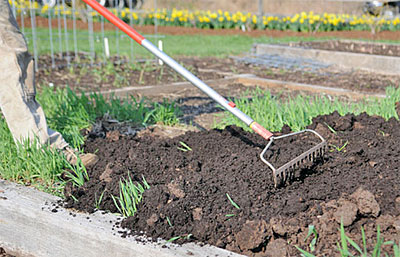 Good soil