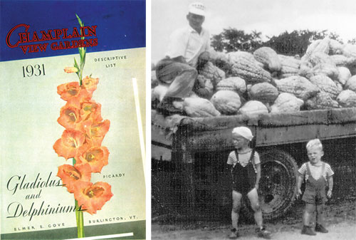 Gladiolus and hubbard squash