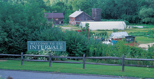 Welcome to the Intervale