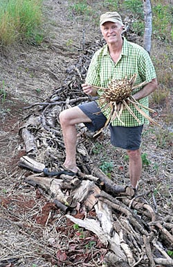 Pinuela fruit