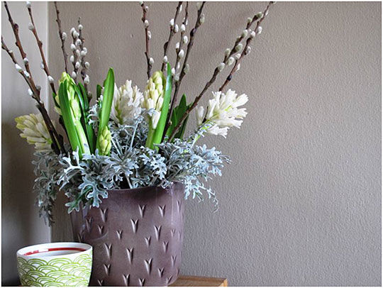 Hyacinths, pussy willow branches and dusty miller leaves