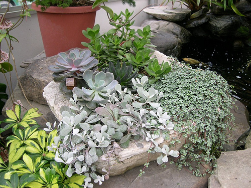 WHITE HYPERTUFA Mix 10 lbs MAKE THIS TROUGH WALL HANGER/ Inst,tips by PsNature 