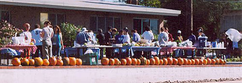 Pumpkins gleaned by the Iskashitaa Refugee Network 